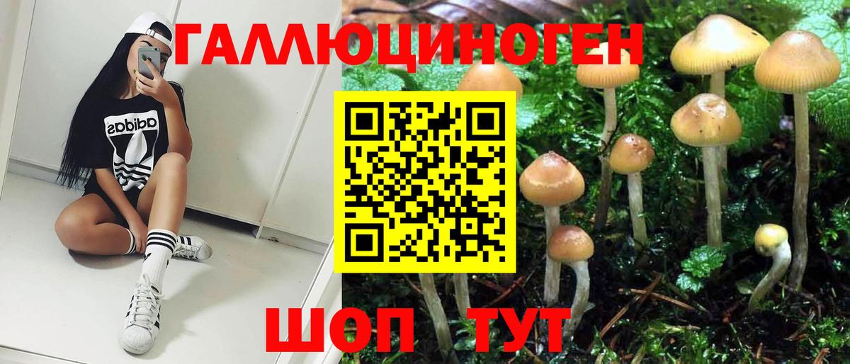 Псилоцибиновые грибы MAGIC MUSHROOMS  Галлюциногенные грибы Cubensis  Вход с VPN  что такое   Южноуральск 